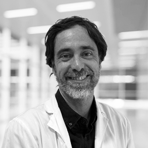 Picture of Dr. José Manuel Lomas Cabeza