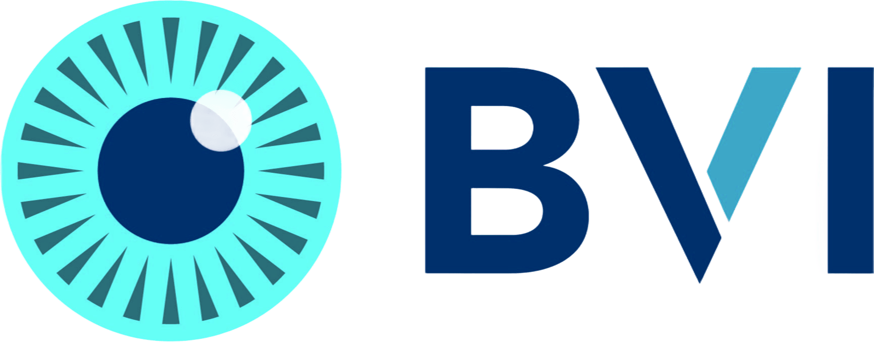 BVI logo